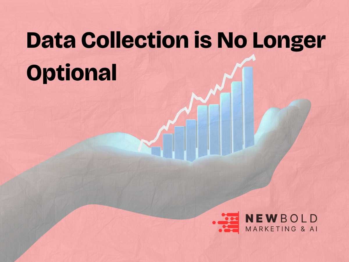 the importance of collecting data for NZ businesses